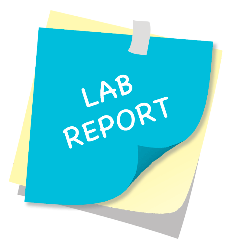 What Is Background Research In A Lab Report